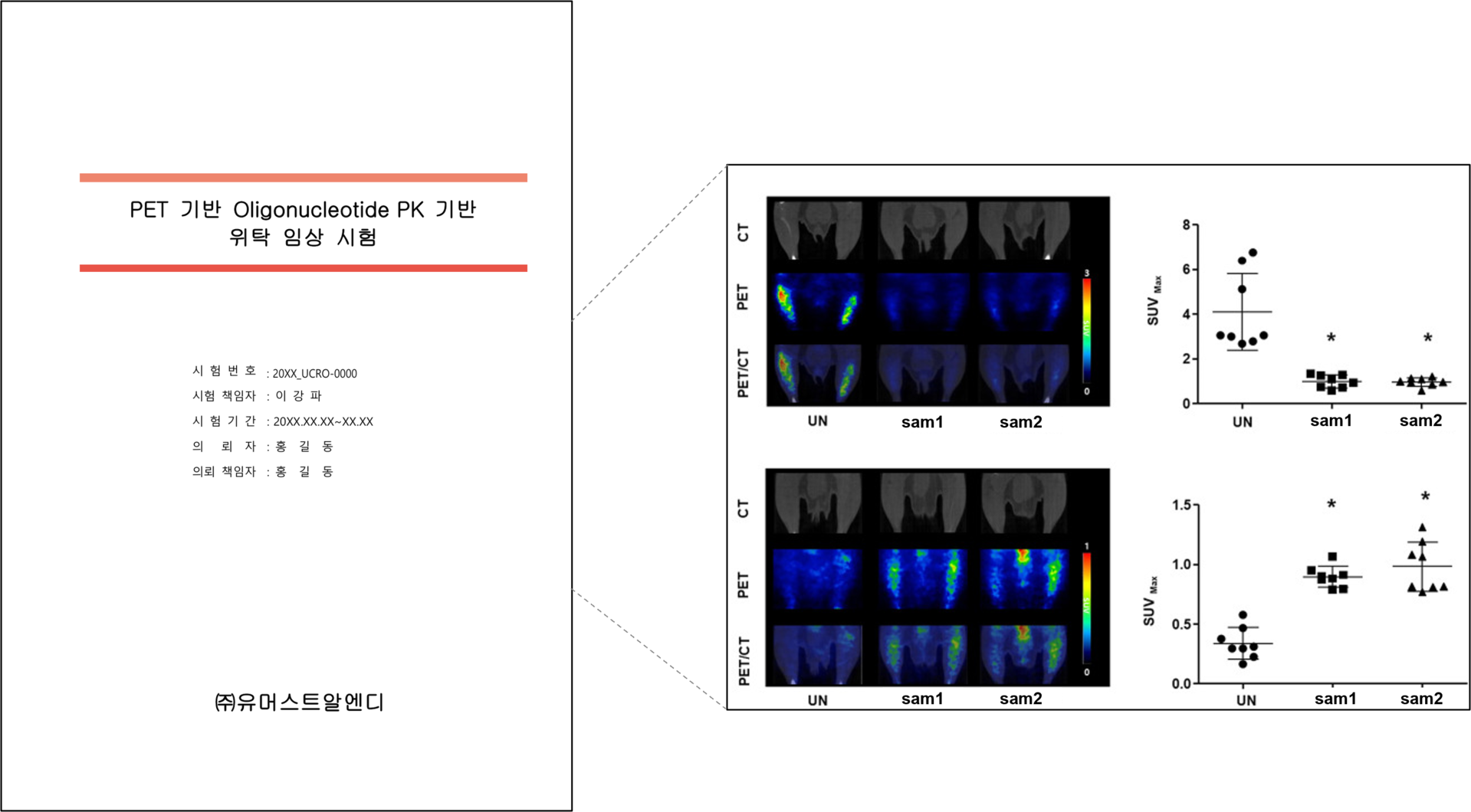 그림 3. PET 기반 Oligonucleotide PK CRO 리포트 예시</br>Baek S, Kim J, Nam MH, Park SM, Lee TS, Kang SY, Kim JY, Yoon HJ, Kwon SH, Park J, Lee SJ, Oh SJ, Lim K, Kim BS, Lee KP, Moon BS. Saengmaeksan, a traditional polyherbal formulation containing Panax ginseng, improves energy metabolism during exercise. PLoS One. 2024 Jan 29;19(1):e0296487. doi: 10.1371/journal.pone.0296487. PMID: 38285695; PMCID: PMC10824426.