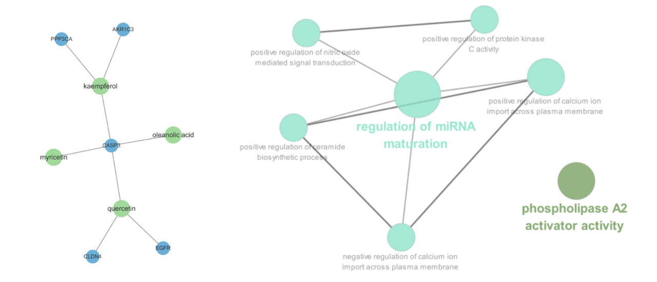 TCMSP 시스템 약리학 분석 결과 예시