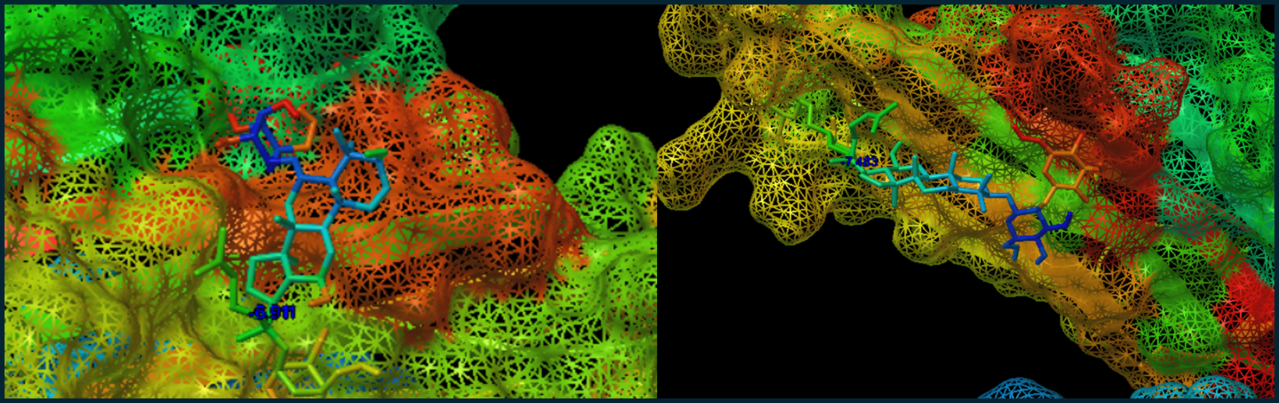 그림 1. 표적 단백질 활성 부위에 결합한 리간드의 도킹 포즈 예시