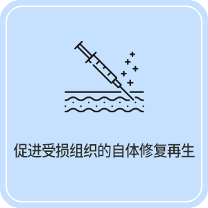 促进受损组织的自体修复再生