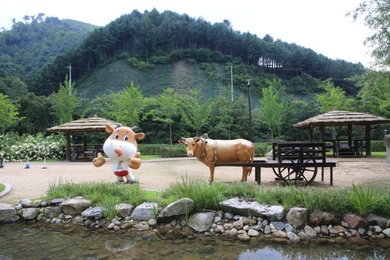 홍천수타사농촌체험