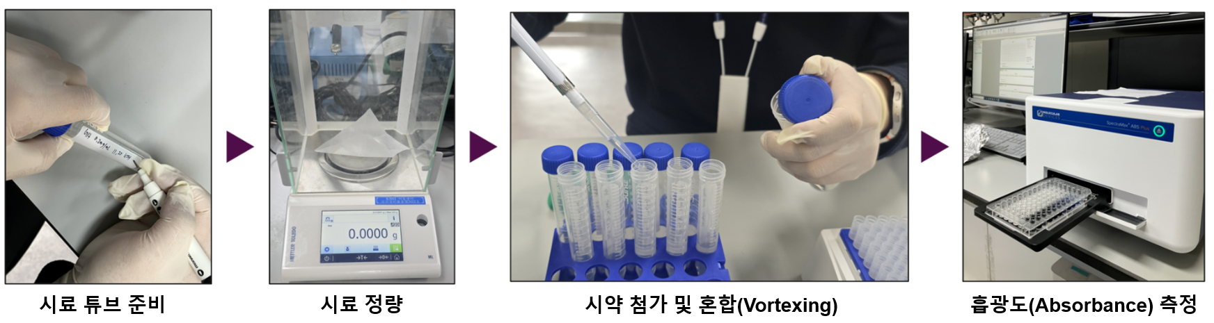 그림 2. Total phenolic compound 실험 순서