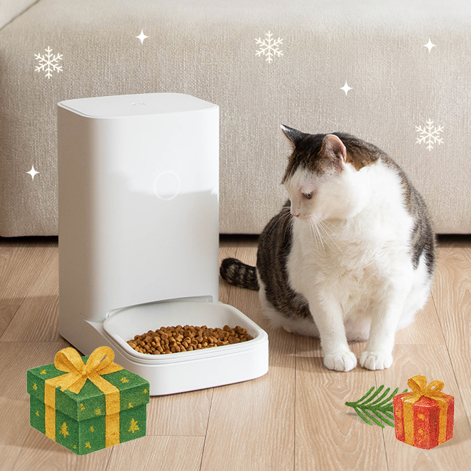 스마트 고양이 자동급식기