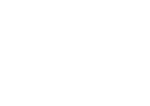 정치학교 반전