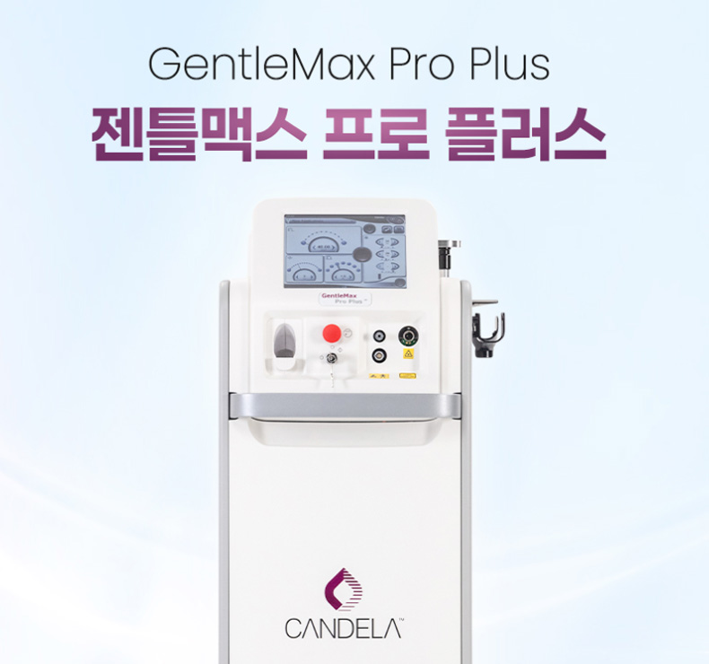 젠틀맥스 프로 플러스