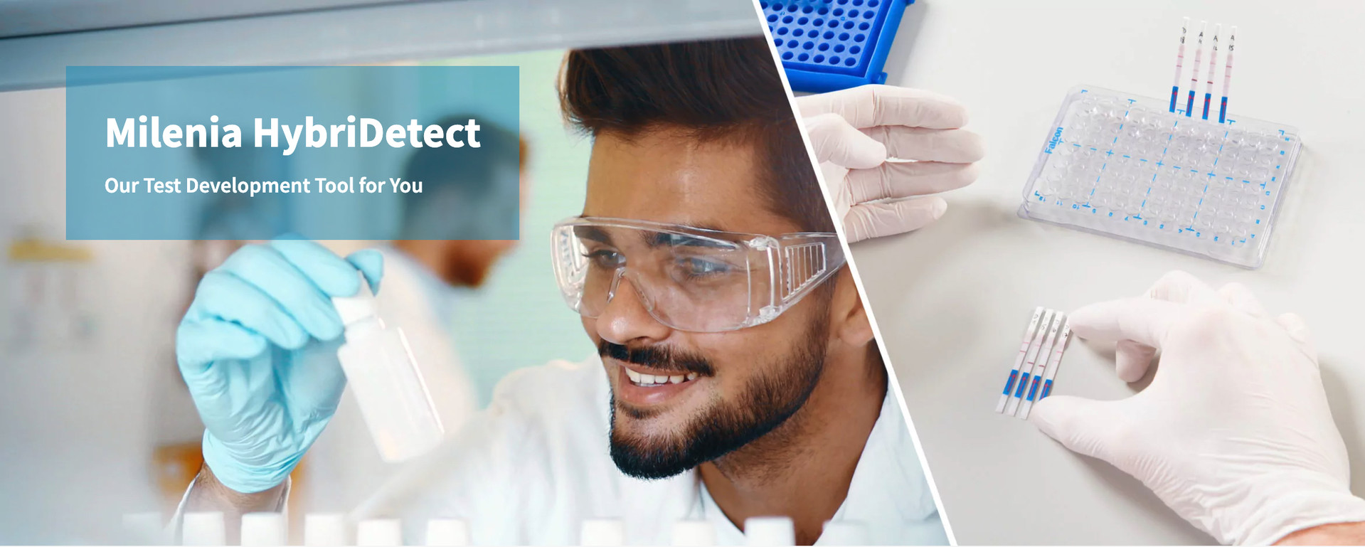 Universal Lateral Flow Assay Kits