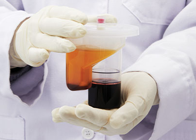 Step 3. สกัดสเต็มเซลล์