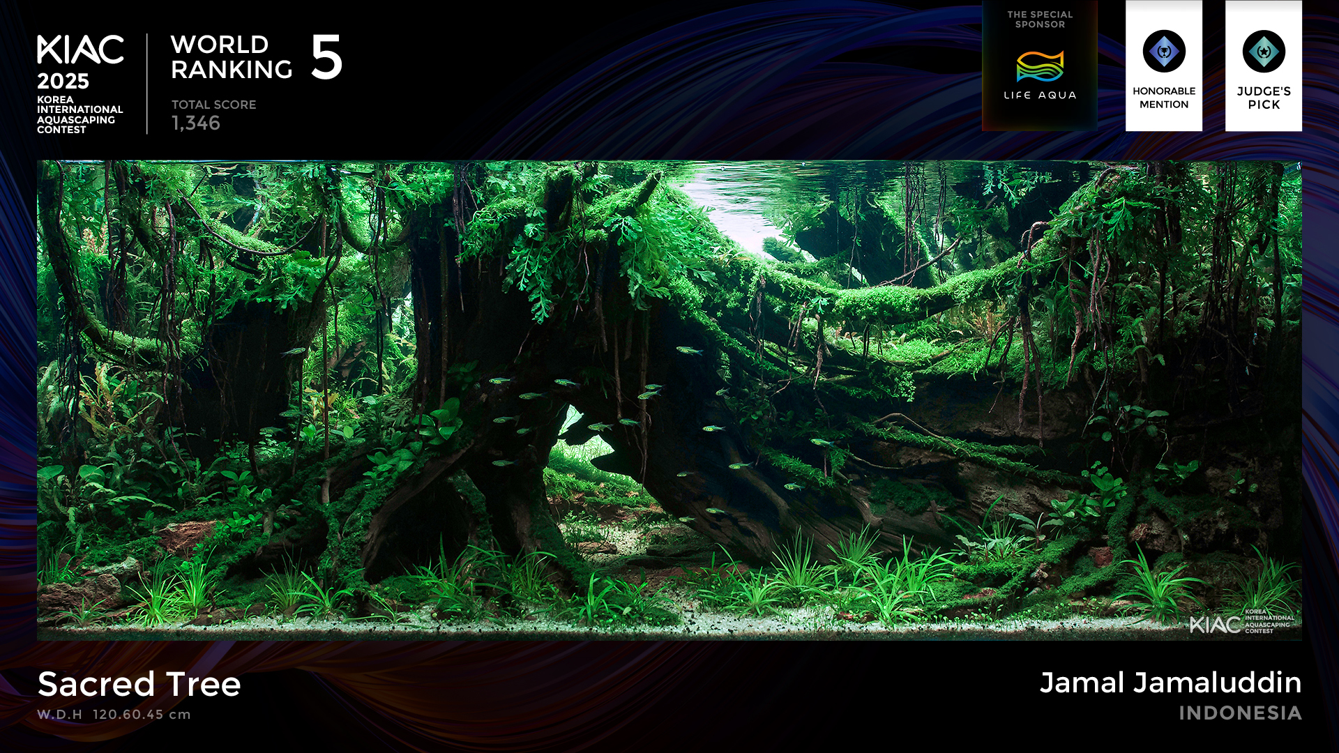 World Ranking 5. Sacred Tree - Jamal Jamaluddin [Indonesia]