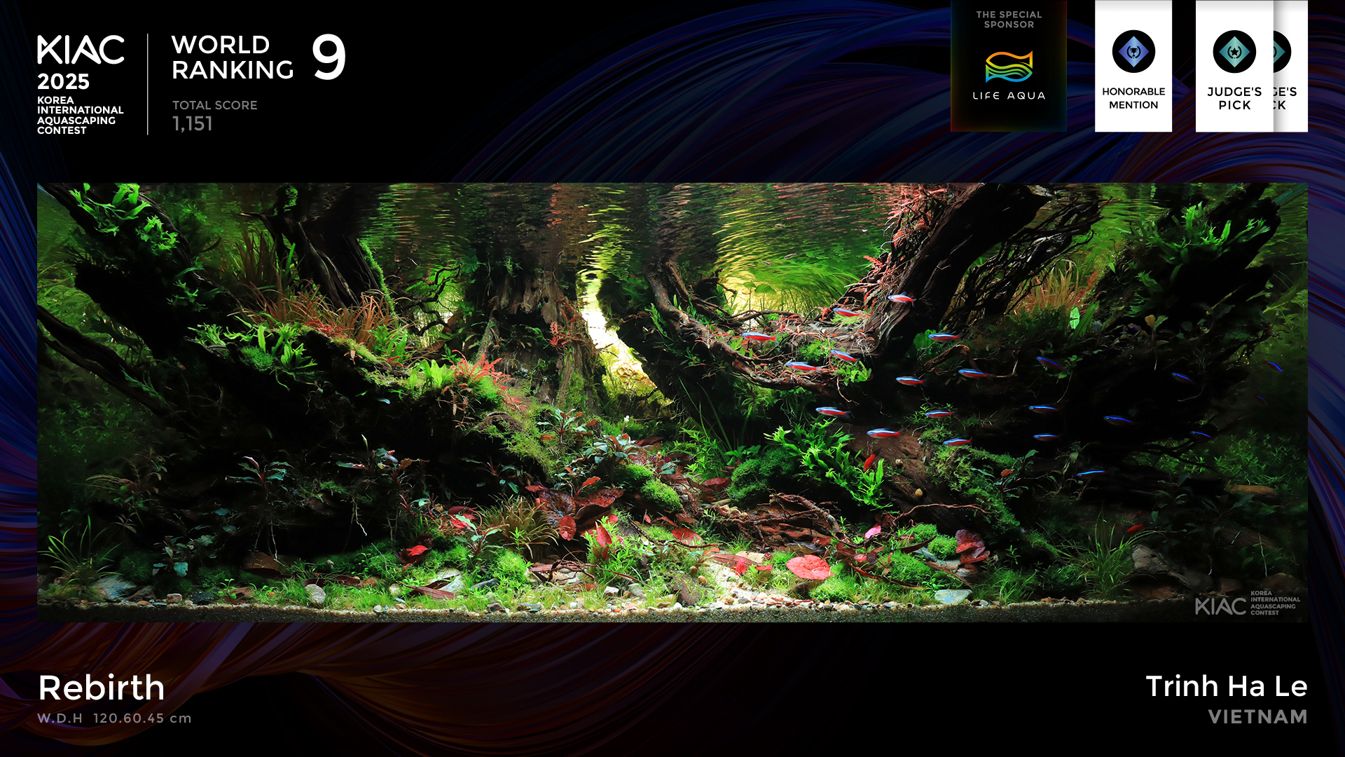 World Ranking 9. Rebirth - Trinh Ha Le [Vietnam]