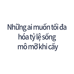 Những ai muốn tối đa hóa tỷ lệ sống mô mỡ khi cấy