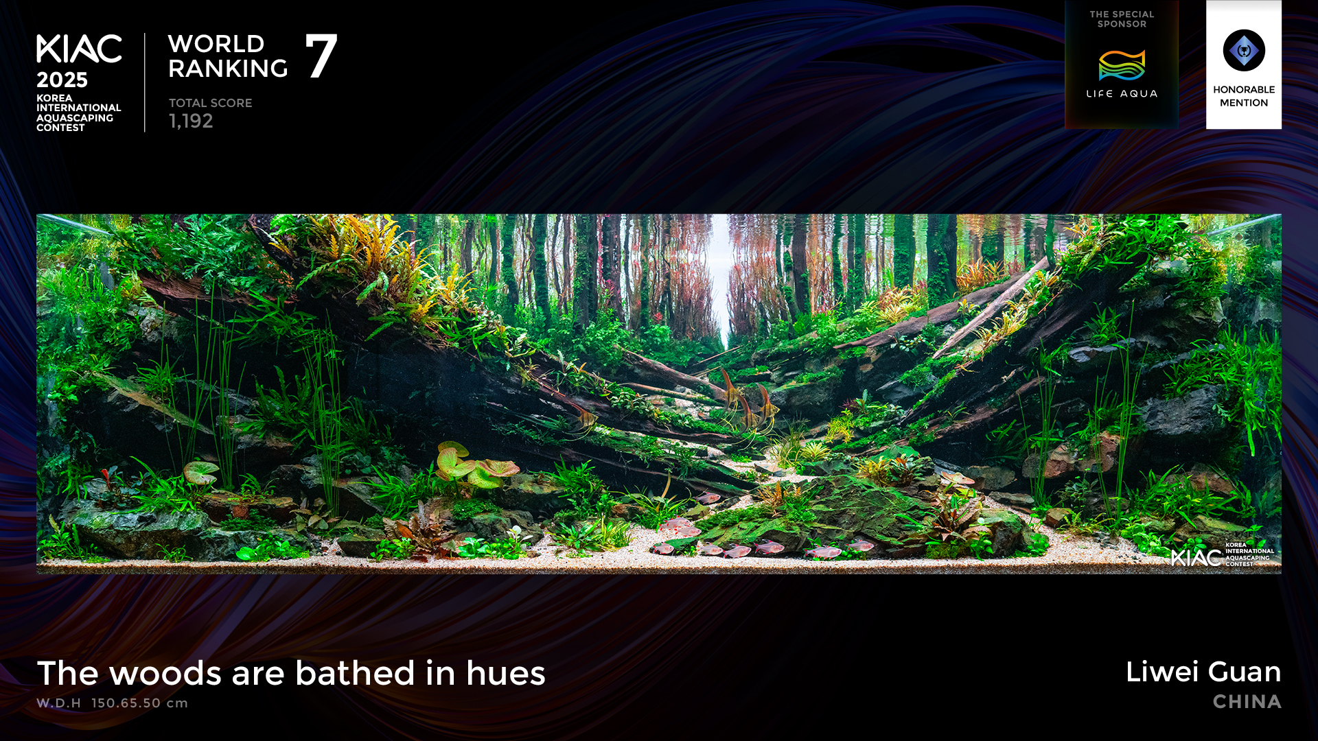 World Ranking 7. The woods are bathed in hues - Liwei Guan [China]