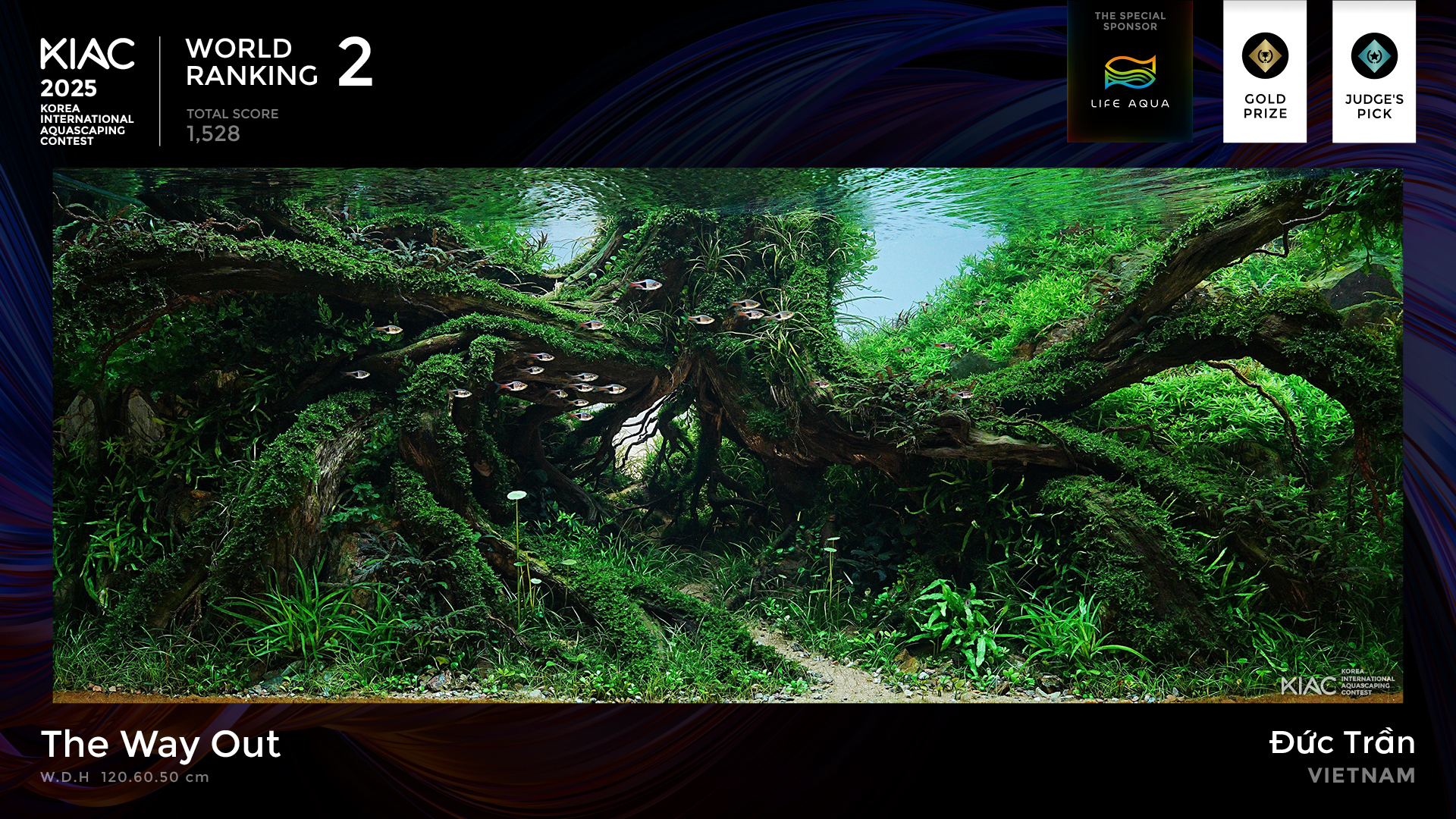 World Ranking 2. The Way Out - Đức Trần [Vietnam]