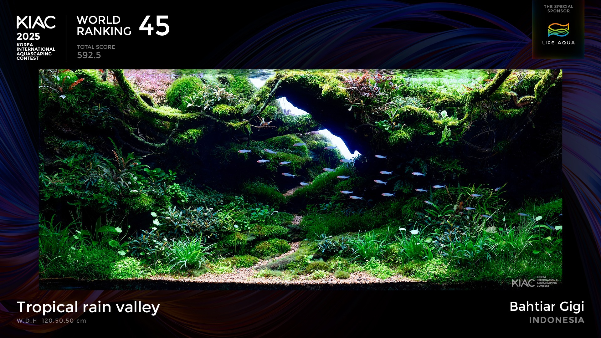 World Ranking 45. Tropical rain valley - Bahtiar Gigi [Indonesia]