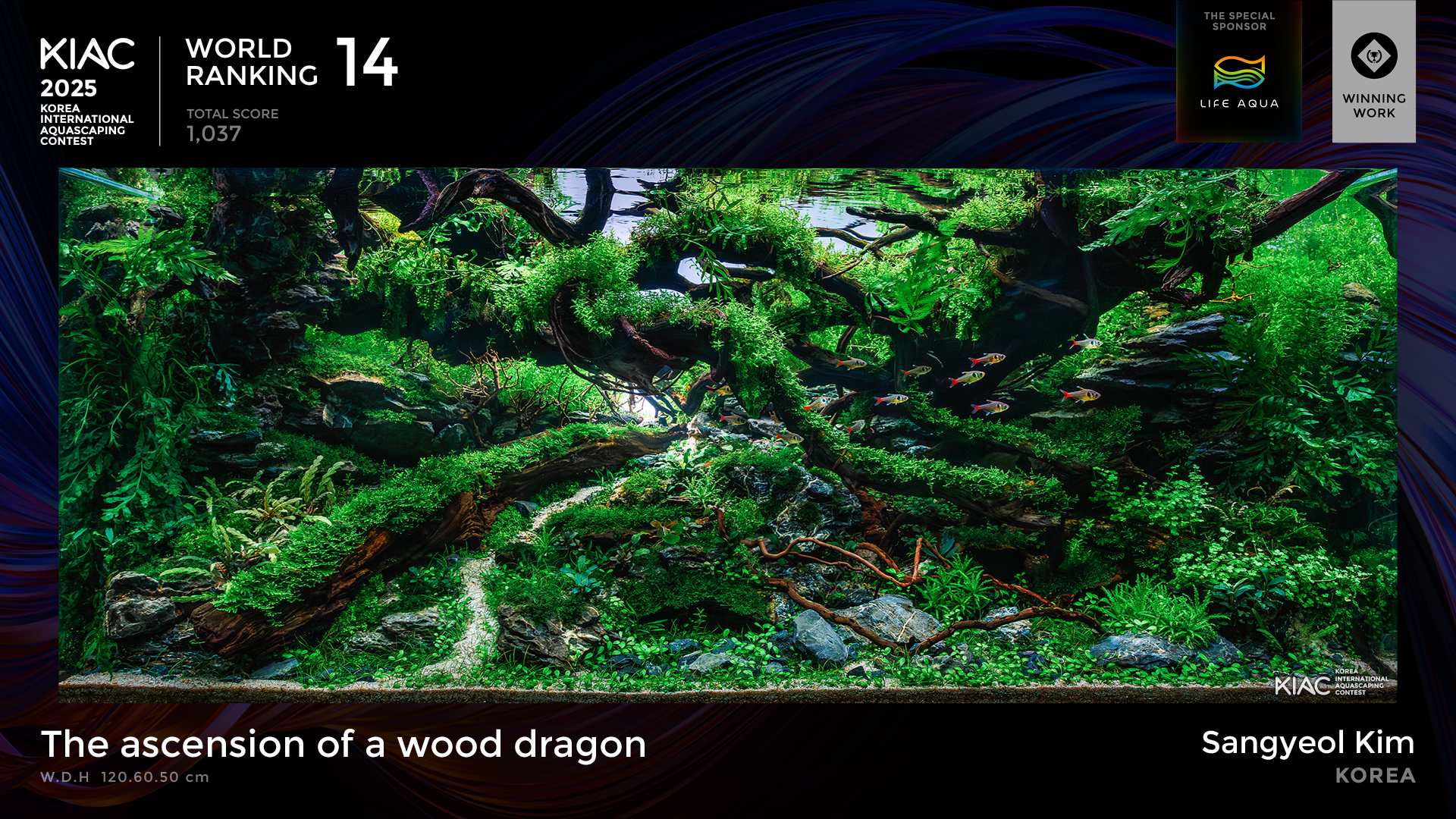 World Ranking 14. The ascension of a wood dragon - Sangyeol Kim [Korea]