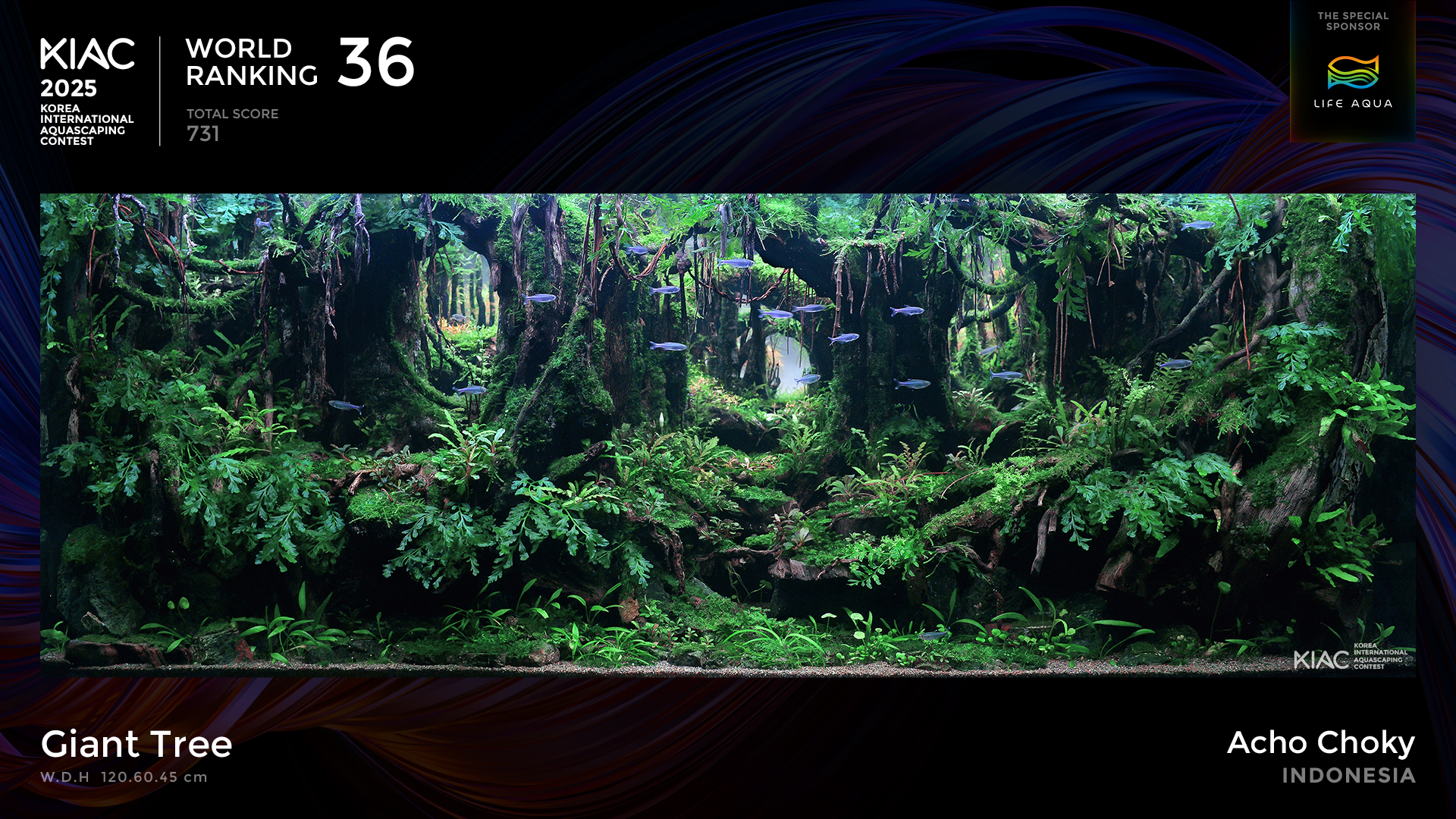 World Ranking 36. Giant Tree - Acho Choky [Indonesia]