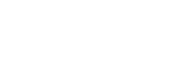 (주)에이치브이엠