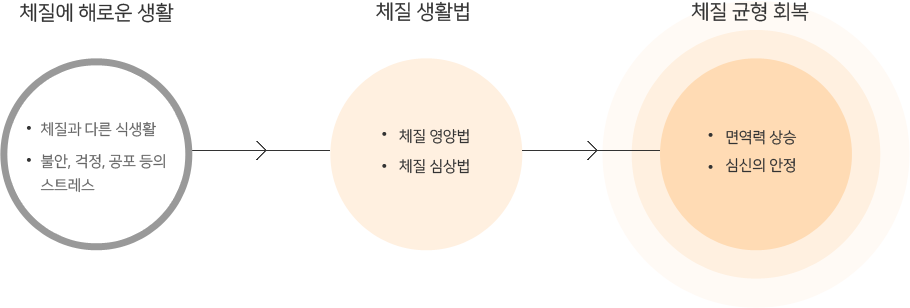 체질에 맞는 생활법과 균형 회복