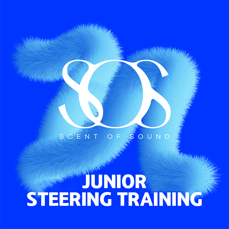 <p style="text-align; font-size:16px; margin-top:26px;">Junior Education<br><span style="color:#666;">₩ 750,000</span></p>