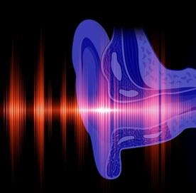 돌발성 난청 치료가이드