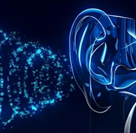 이명　　  　치료가이드