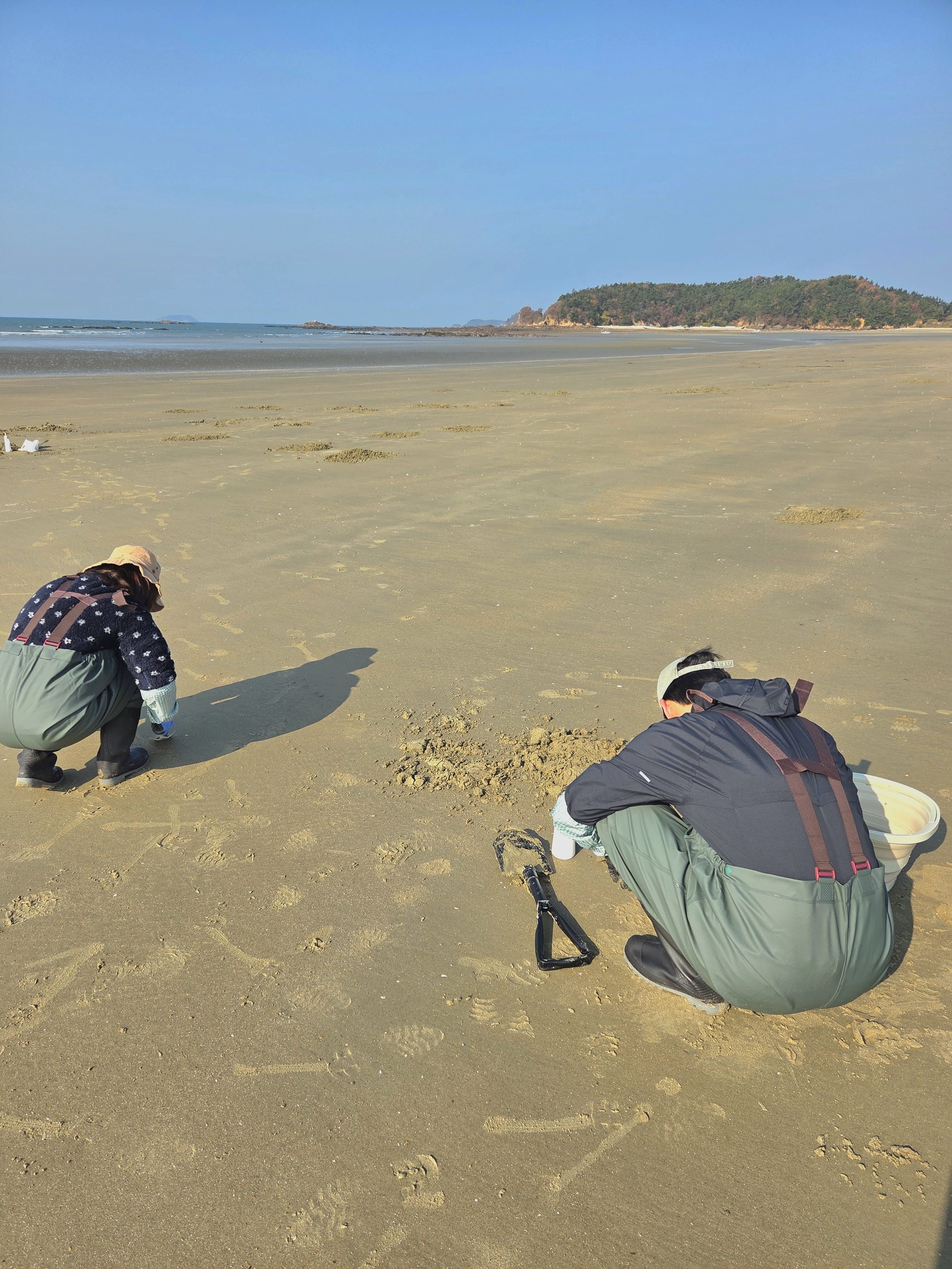 독채 글램핑 개별불멍