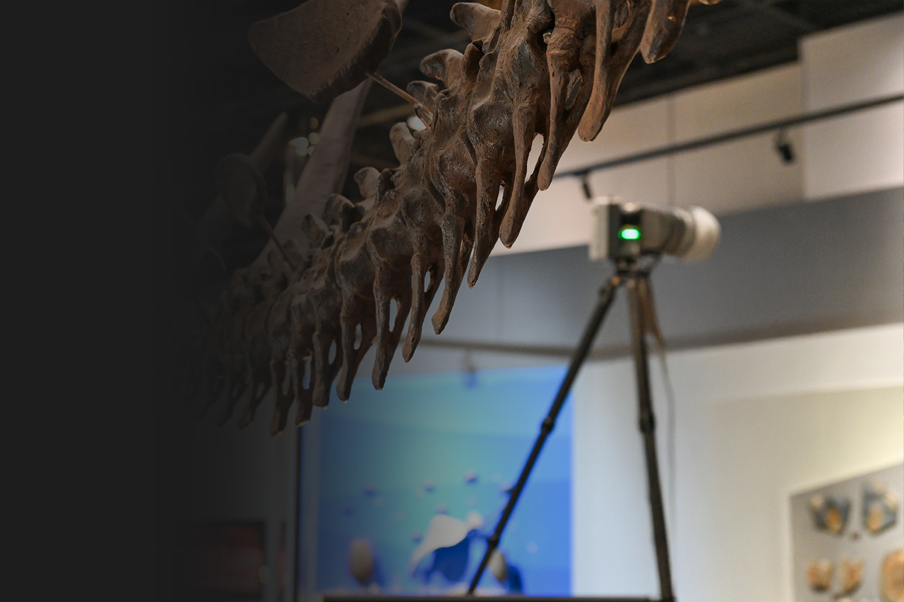 <h3 style="margin-left:10px; color:rgb(255, 255, 255); letter-spacing:-2px;">3D스캐닝 서비스</h3> <h5 style="margin-left:10px; color:rgb(255, 255, 255); letter-spacing:-2px; font-weight:300;">   사물, 인체, 공간의 15년 경력의 전문 3D스캔 서비스 </h5>  <a href="https://inozard.com/MicroScanningServices"    style="display:inline-block; margin-left:10px; margin-top:10px; padding:10px 20px; background-color:#ffffff; color:#000000; text-decoration:none; font-weight:bold; border-radius:30px; font-size:1.2em; transition: background-color 0.3s ease, color 0.3s ease, transform 0.2s ease-out;"    onmouseover="this.style.transform='scale(1.05)'; this.style.backgroundColor='#003bb7'; this.style.color='#ffffff';"    onmouseout="this.style.transform='scale(1)'; this.style.backgroundColor='#ffffff'; this.style.color='#000000';">   서비스 내용 상세보기 </a>