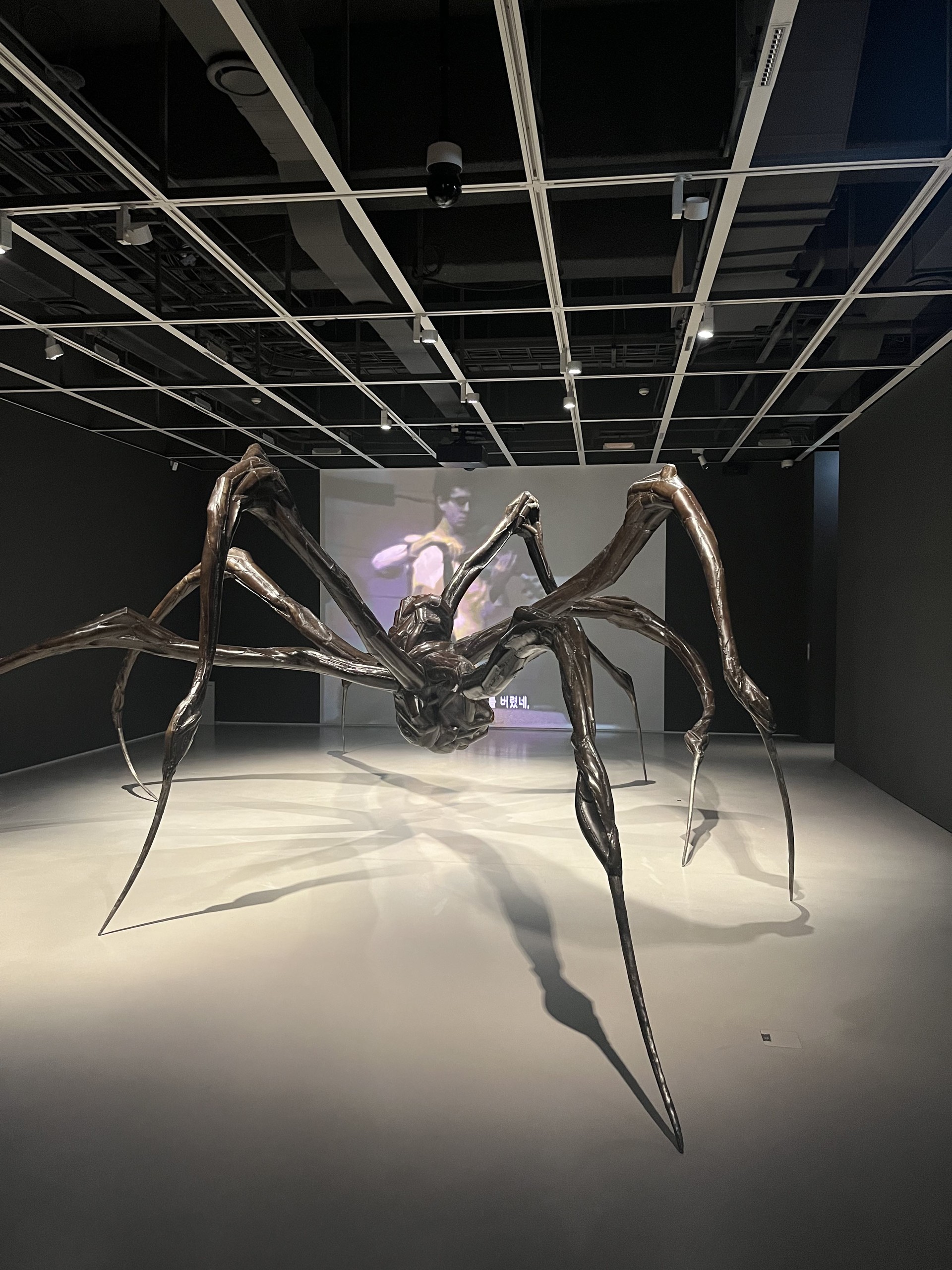 웅크린 거미, 2003