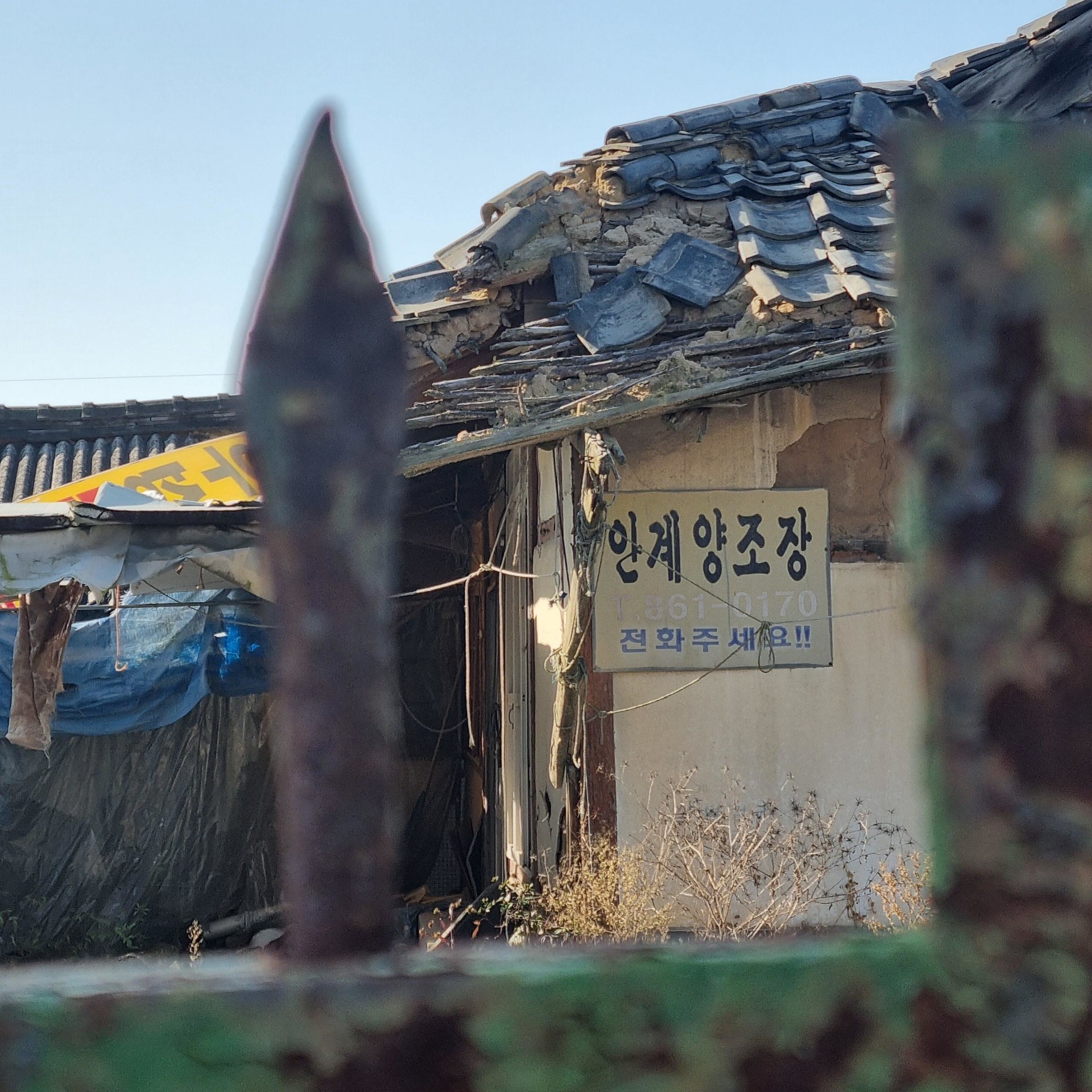 안계양조장