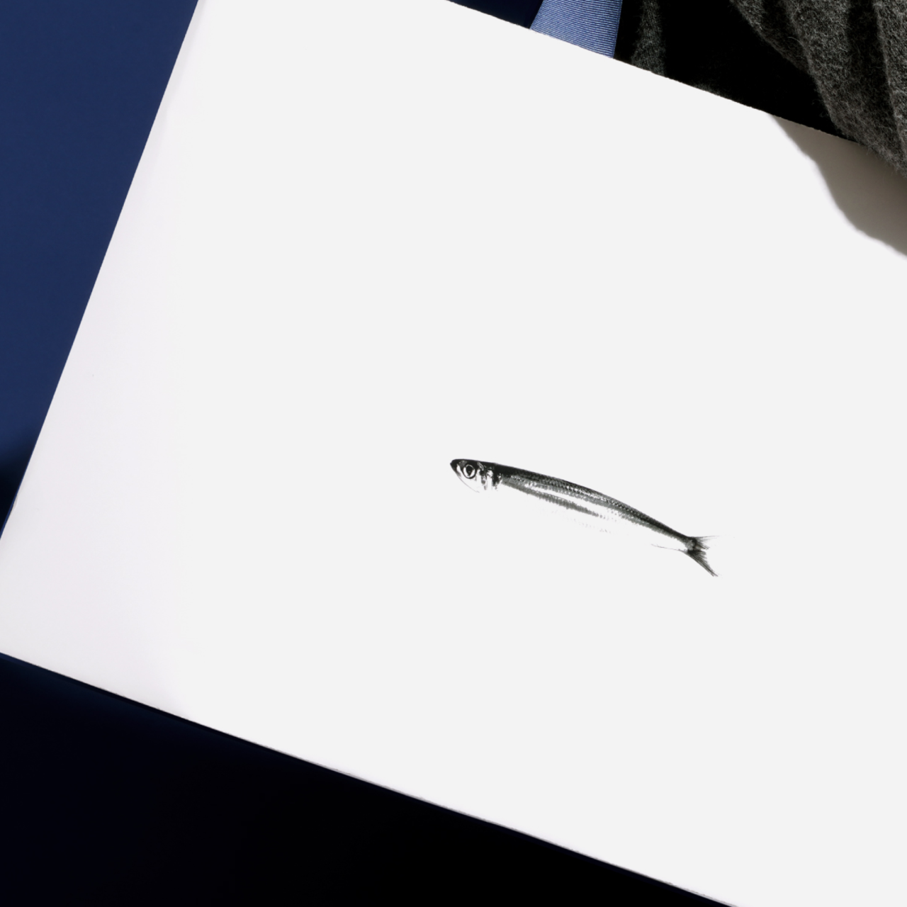 멸치로 - branding