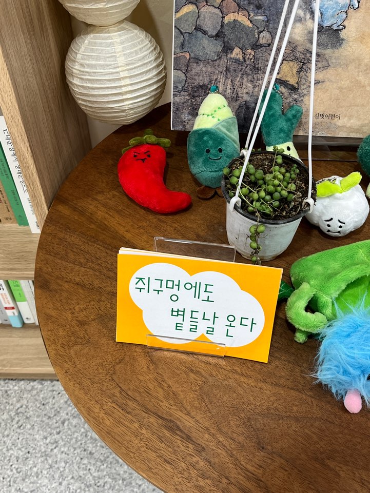 농촌책방 완두콩