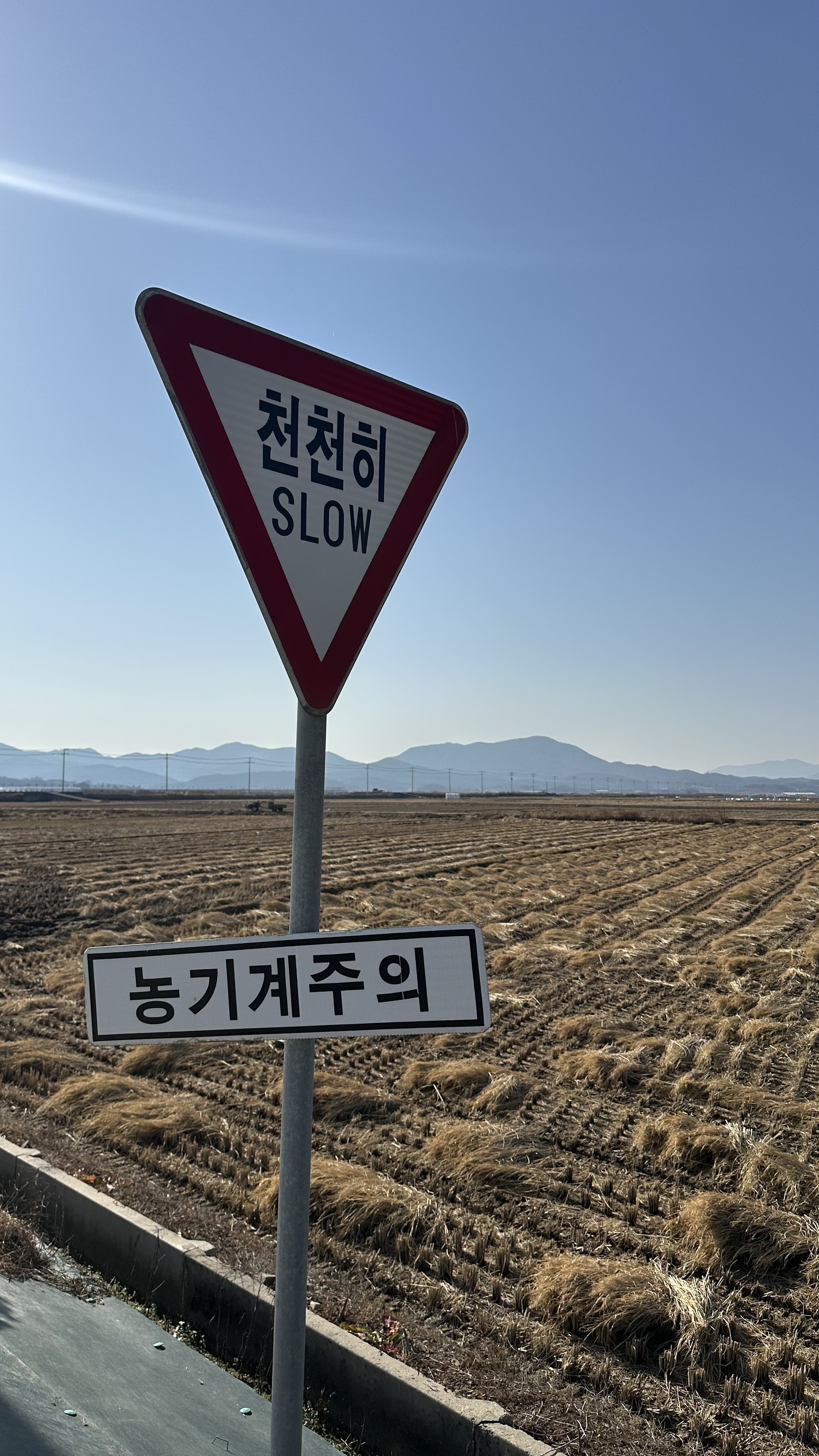안계평야