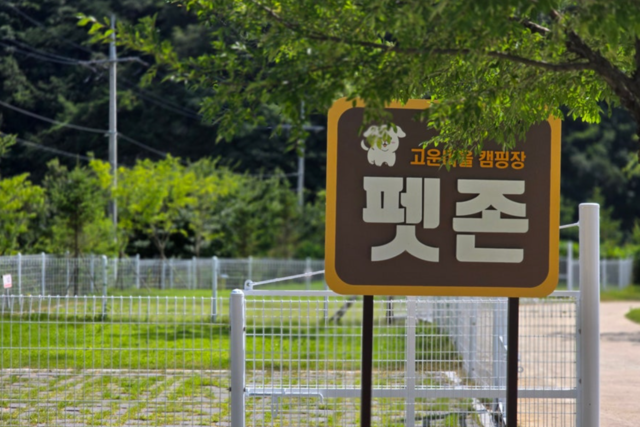 고운마을 캠핑장 펫존