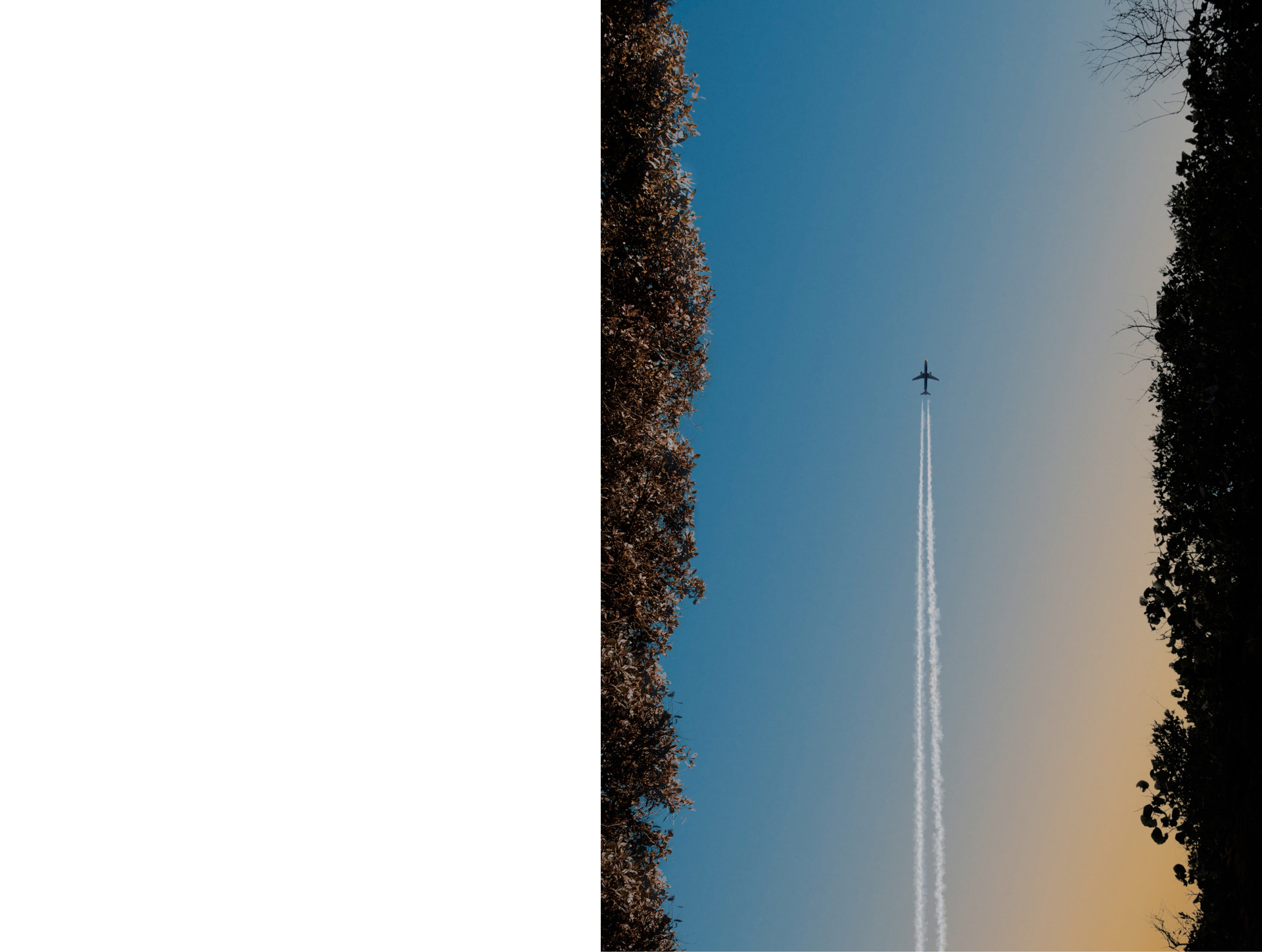 mobile background