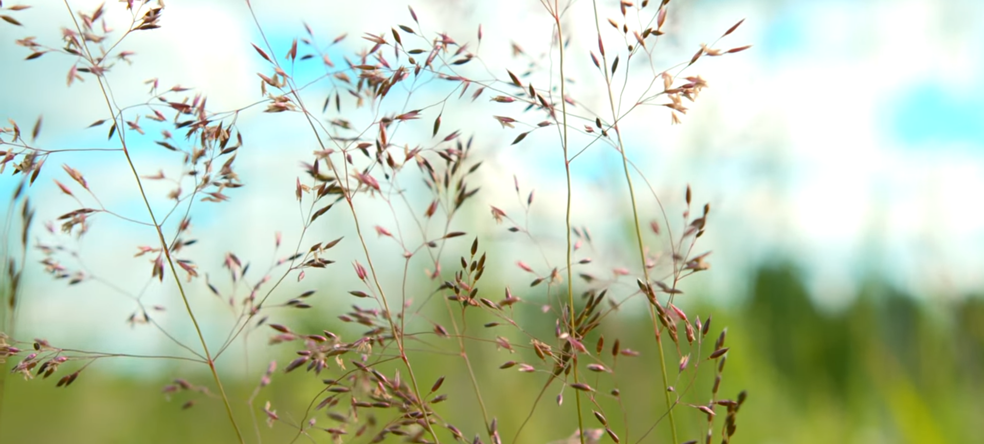 mobile background