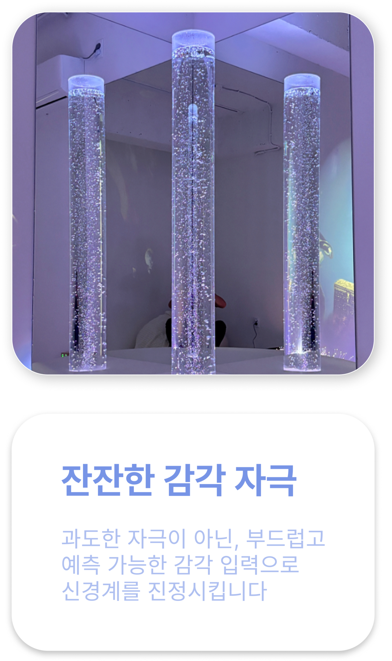 잔잔한 감각 자극: 과도한 자극이 아닌, 부드럽고 예측 가능한 감각 입력으로 신경계를 진정시킵니다