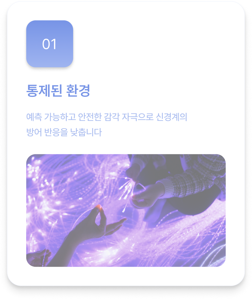 통제된 환경: 예측 가능하고 안전한 감각 자극으로 신경계의 방어 반응을 낮춥니다