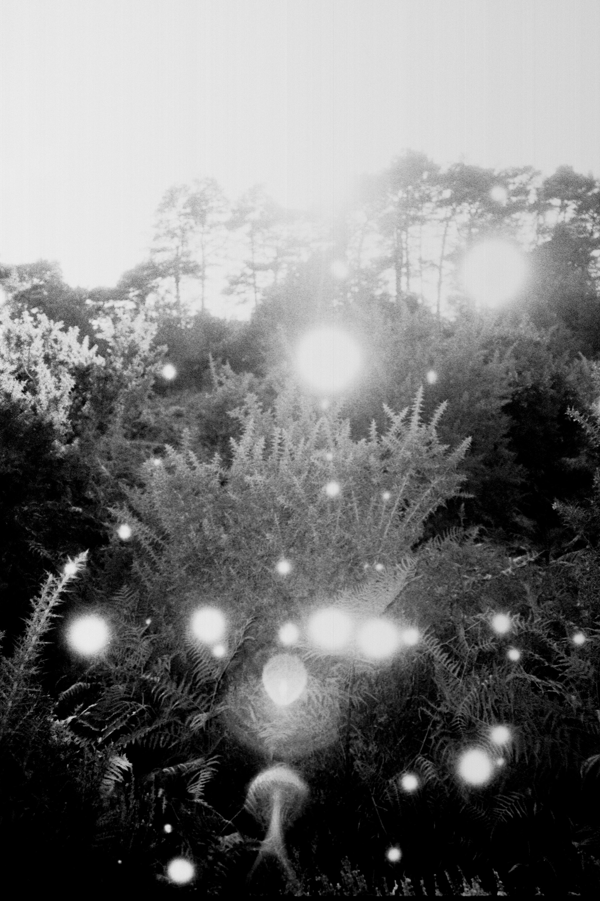 <div style="text-align:center; line-height:1.5;">   <span style="font-weight:500;">soft holiday selection</span><br>   <span>겨울을 위한 홀리데이 셀렉션을 만나보세요.</span><br>   <span style="font-size:0.9em; opacity:0.7;">12.16 — 12.25</span> </div>