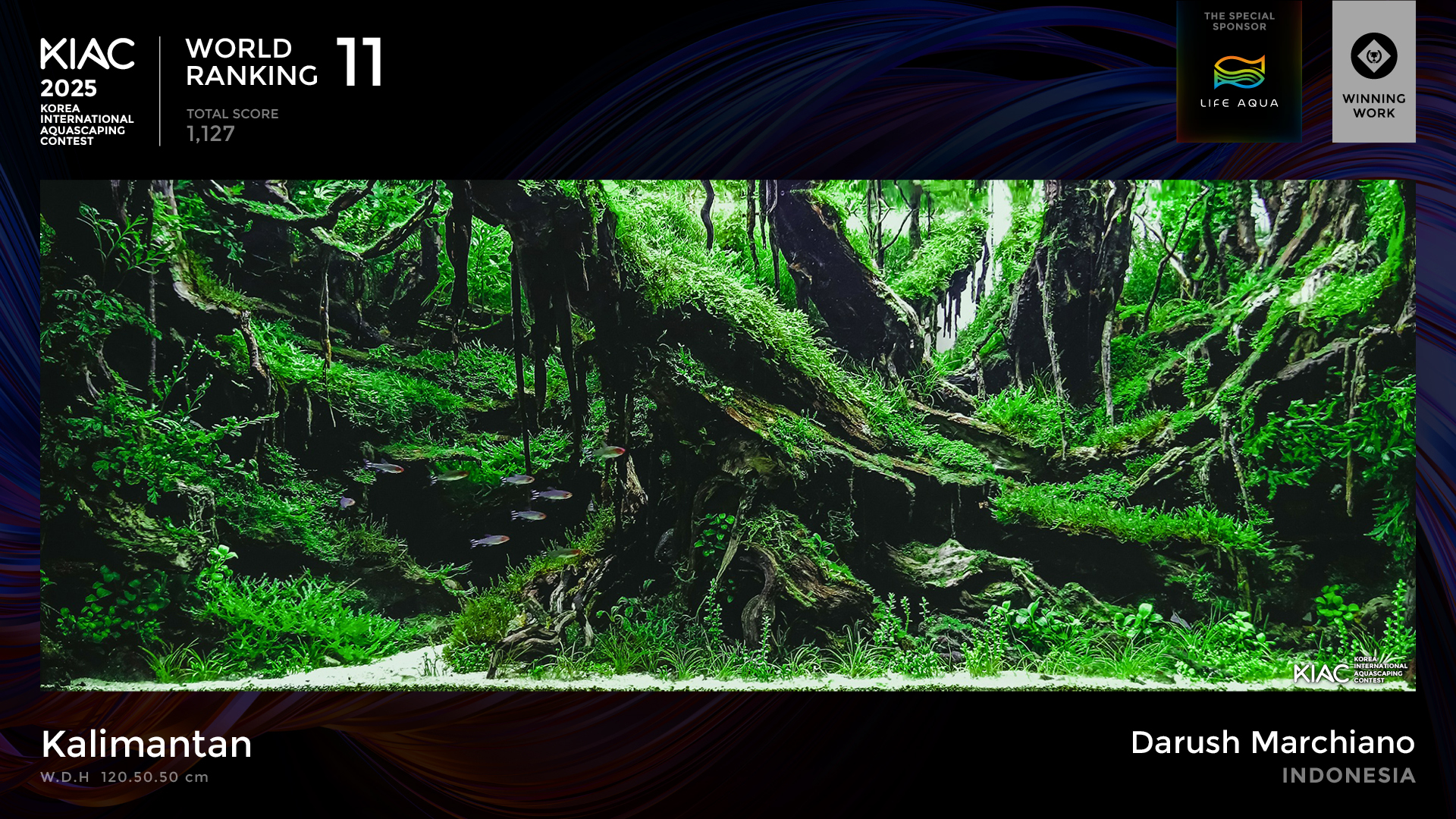 World Ranking 11. Kalimantan - Darush Marchiano [Indonesia]