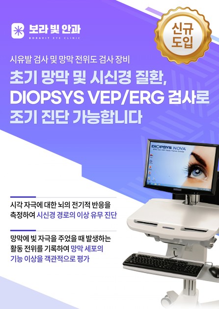 Diopsys ERG 망막전위도, 시유발전위 검사 : 시력은 괜찮은데 눈은 계속 불편? 기능 검사로 확인해보세요. 대구 보라빛 ...