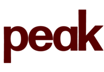 인재 전략 전문 서비스 피크