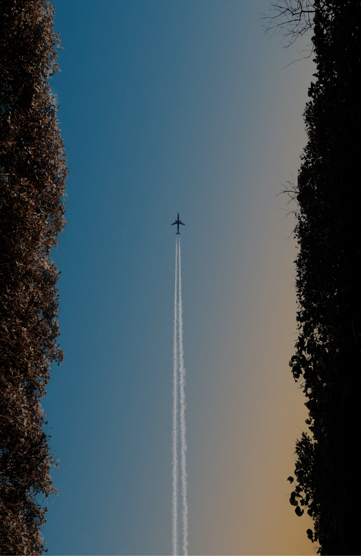 mobile background