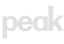 인재 전략 전문 서비스 피크