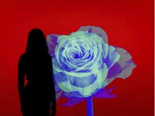 <span class="artwork-new">new</span>