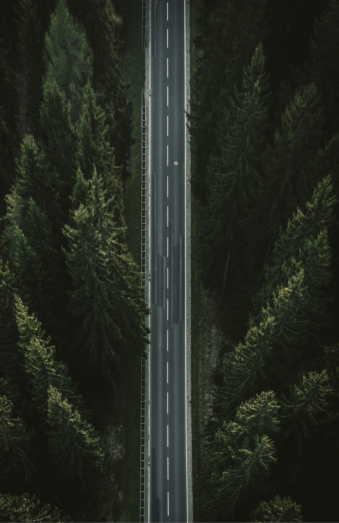 mobile background