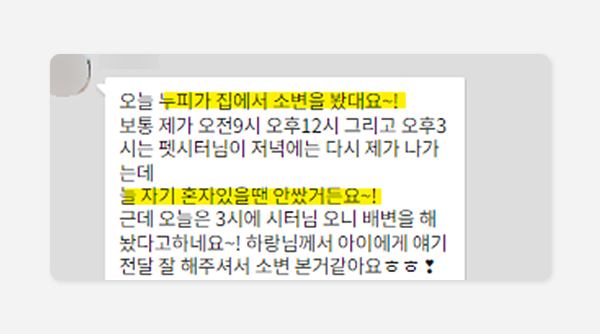 혼자서 실내 배변 안하던 친구가 교감 후 바로 실내 배변을 함