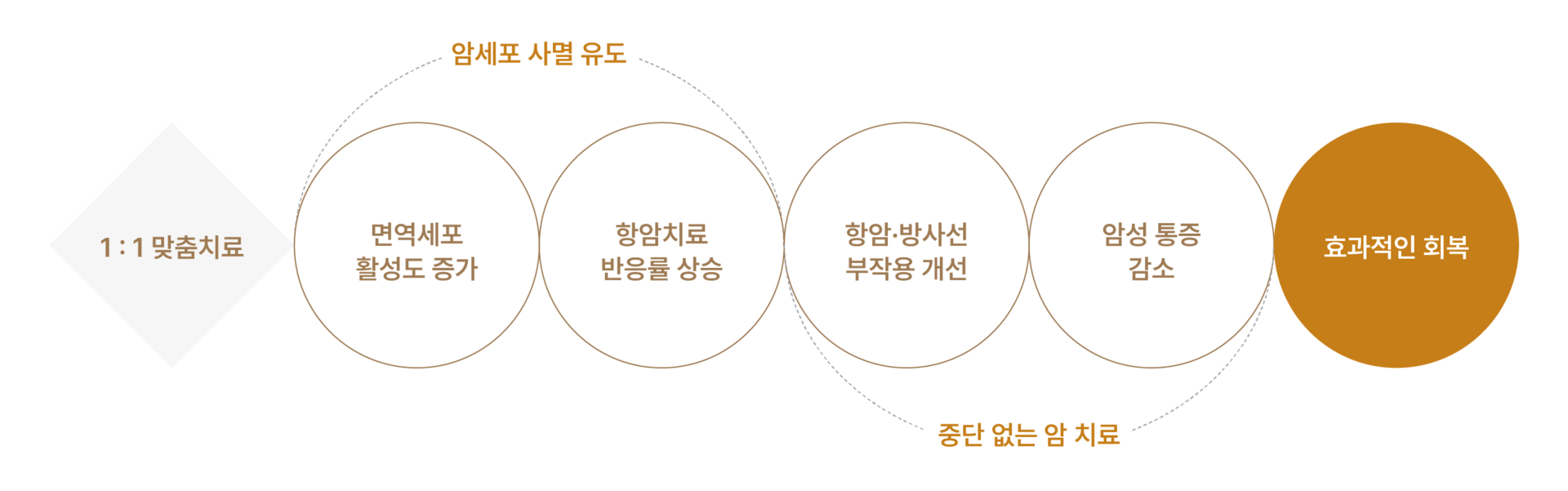 암 사멸 유도 및 중단 없는 암 치료