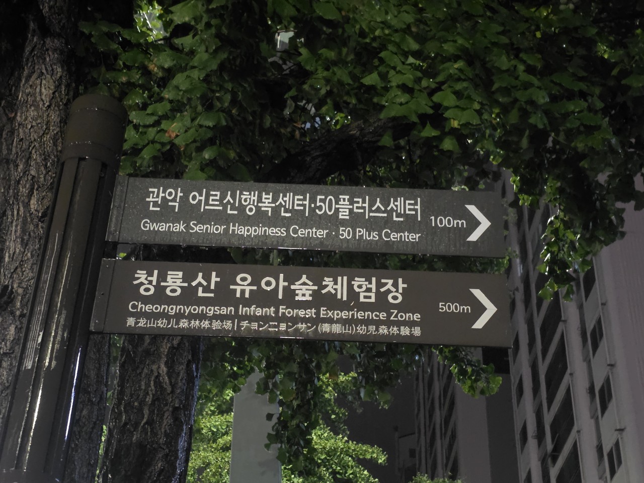 위치 인증 사진