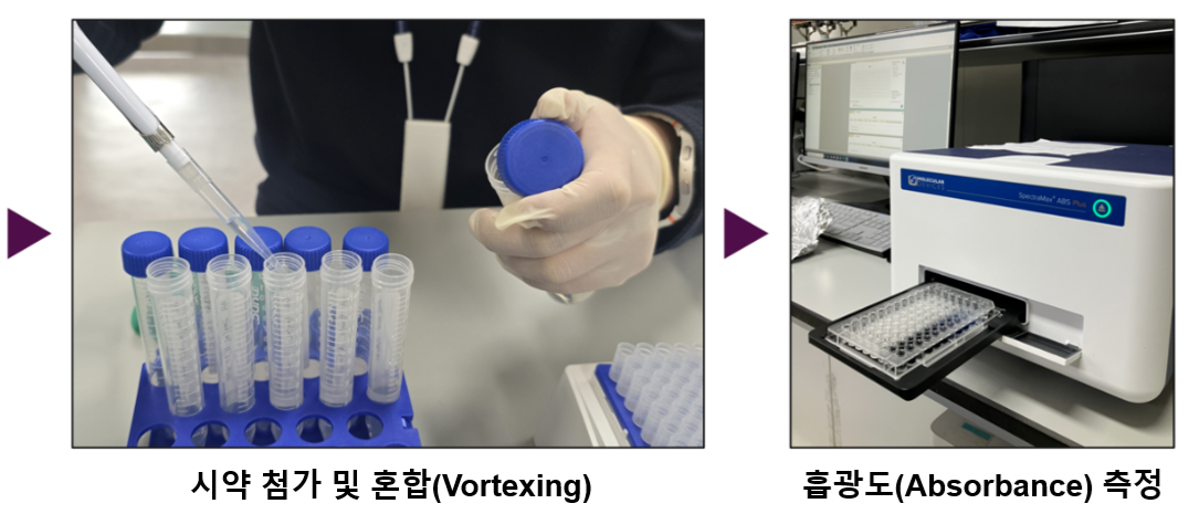 그림 2. Total phenolic compound 실험 순서