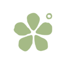 스튜디오도르미