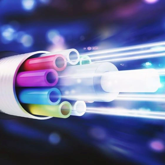 Distributed Fiber Optic Sensing : (주)라온우리